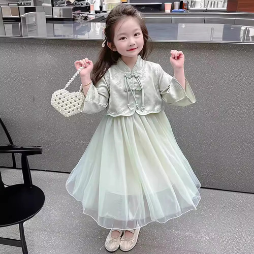 Summer 2024 New Girl's Dress for Baby Girls, Cute Princess Style Children's Long Sleeve Dress
