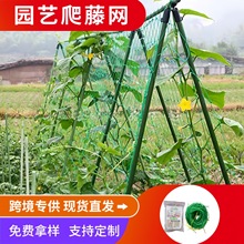 园艺爬藤网种植果蔬爬藤网绿色植物支架网百香果葡萄蔬菜格子绿网