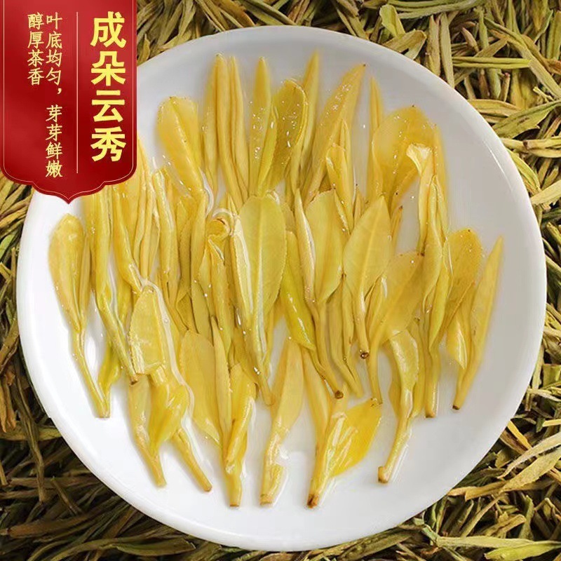 本物の金芽茶 2025 新茶 明前安吉高山希少白茶 緑茶 高山緑茶 正規品|undefined