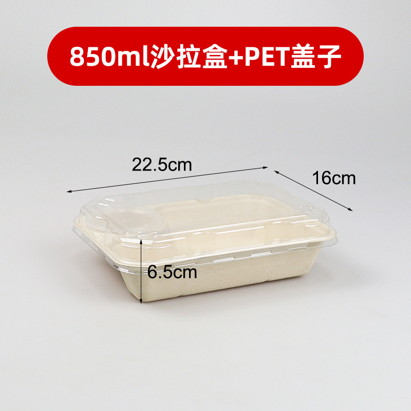 Caja de comidas de pulpa desechable degradable caja de ensalada caja de embalaje de comida ligera caja de comidas rectangular caja de comida para llevar caja de almuerzo ecológica