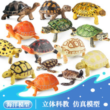 ��ͯ���½�꺣����涯��ģ��Ұ������ڼ��������ڹ���֪��Ʒ
