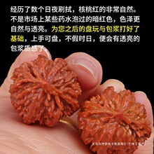 �������С��������ŮС�ְѼ���������������ָ�g������ʿ��