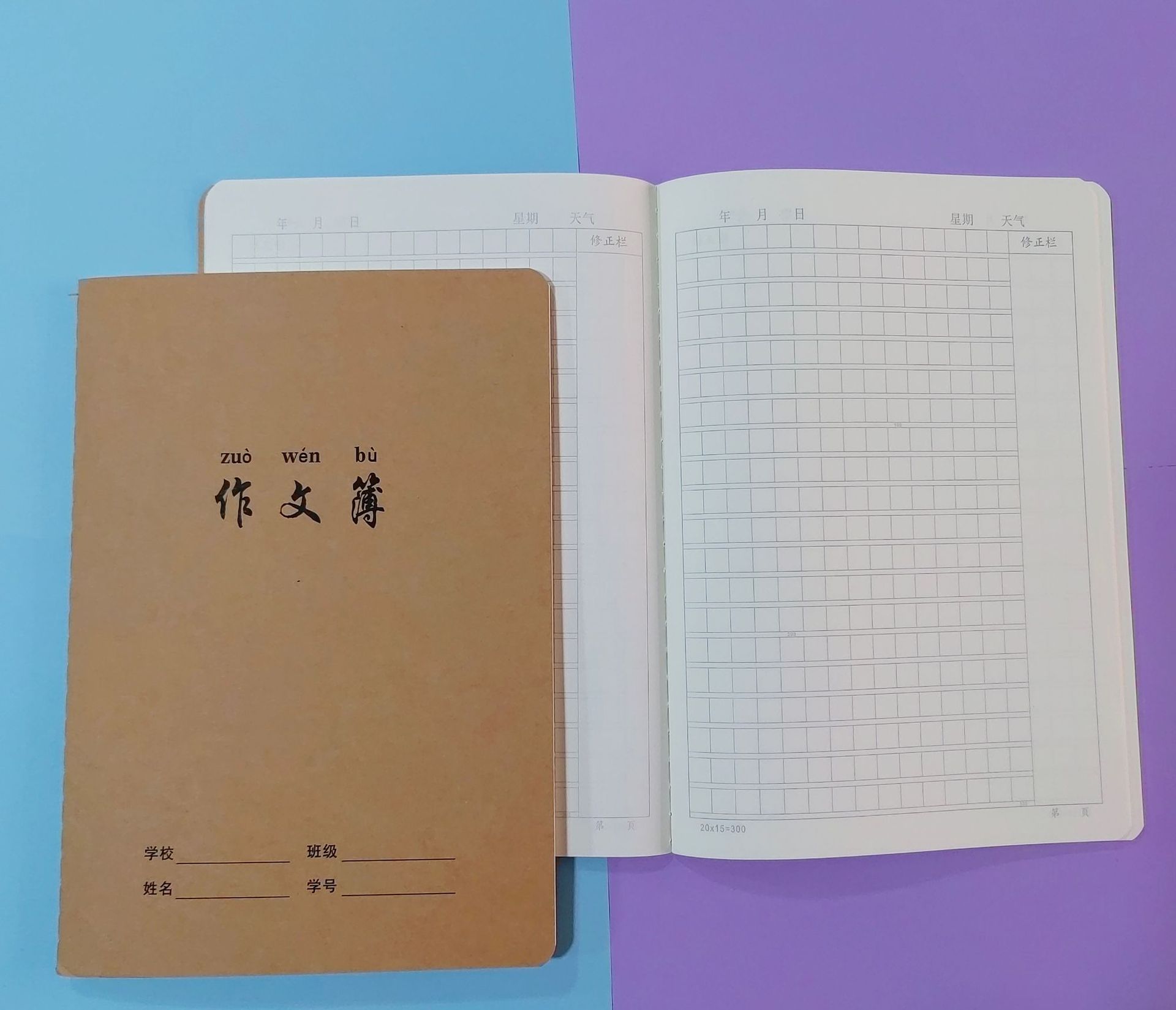 300格作文