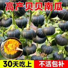 ؐؐ�����Ϲ������玧�������ڷN���½���z�F��ݺ�һ̖��Ŵ����