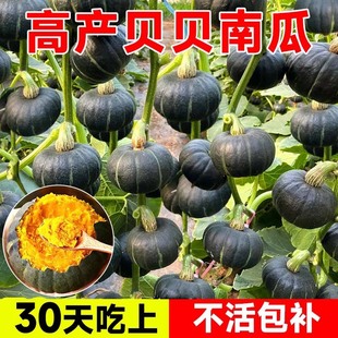 ؐؐ�����Ϲ������玧�������ڷN���½���z�F��ݺ�һ̖��Ŵ����