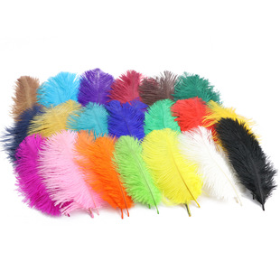 �r�Bë���l15-20CM�r�B��ë�b���ë�W�t���r�Bë�z�b�