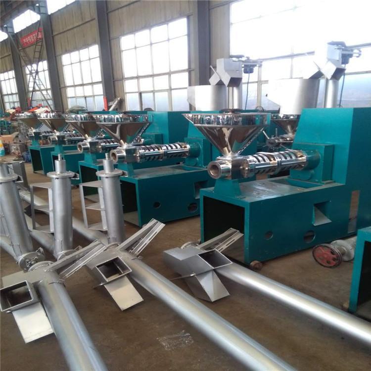 商用大型小型榨油机液压榨油机滤油机芝麻胡麻油葵榨油设备