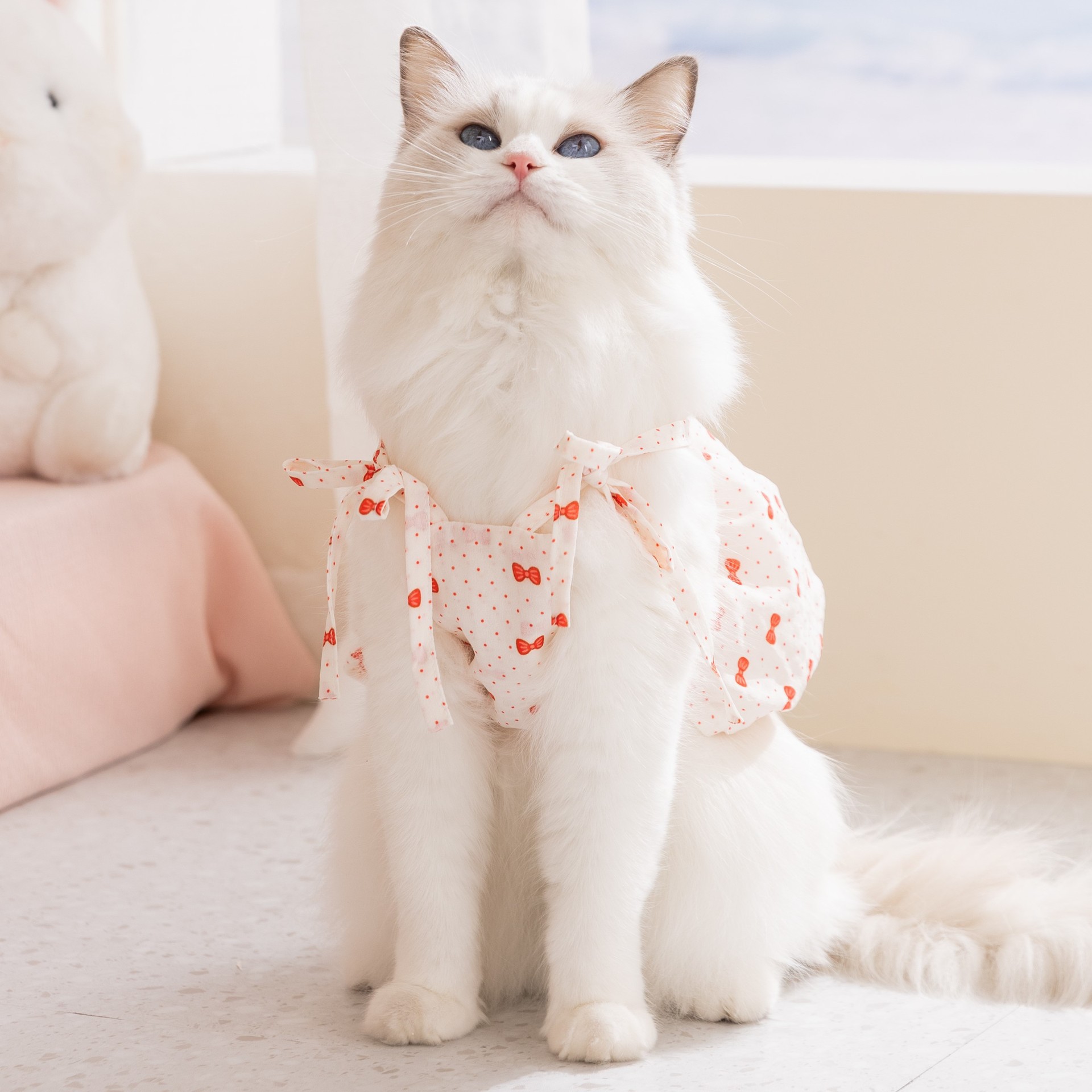 26 años de primavera y verano nuevo gato delgado vestido de princesa vestido de perro pequeño y mediano que panda ropa de perro ropa de mascotas