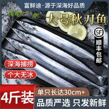 秋刀鱼新鲜冷冻商用整箱特大号烧烤料理海鲜水产鲜活深海鱼4斤装