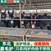 �H��F�����r�H�����H���r��ɢ�B��K�ָ���հ��b���H�����r