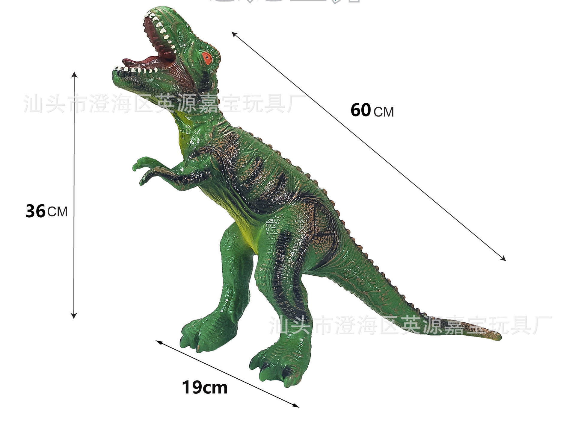 【60 시리즈】60cm 그린 초대형 티라노사우루스