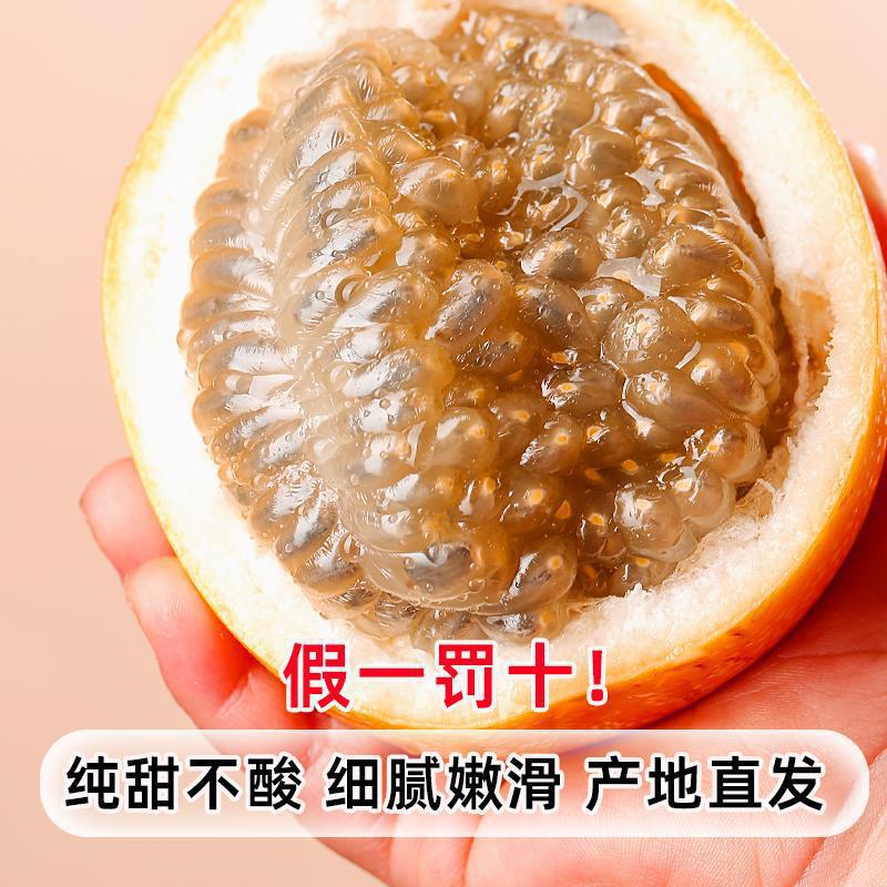 0.5kg -A+등급 [특대형 과일] 엄선된 품질, 인기!