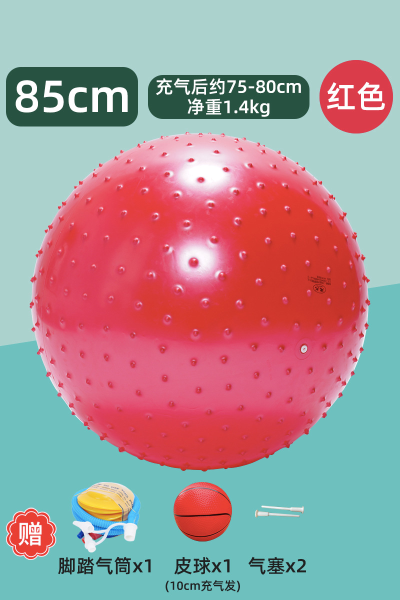 Entrenamiento sensorial infantil tactile masaje yoga bola de dragón juguetes de pelota equipo de acondicionamiento físico granular jaula bola de dragón