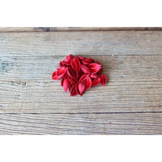 Sycamore Shell Natural Plant Fruit Shell Dried Flower Material Creative Handmade Stitching Dried Wreath Photo Frame Lotus Material
