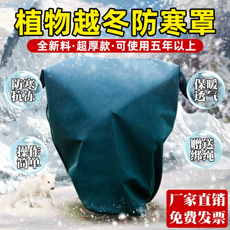 Растения фруктовые деревья холодостойкие крышка антифриз дерево крышка ветрозащитный цветочный дерево дерево железное дерево защищает зиму зимний тепловизатор