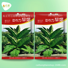 �����N�ӟ��ݷN�Ѵ����ļ��̨���ԟ��~�������|�������Nһ�����l