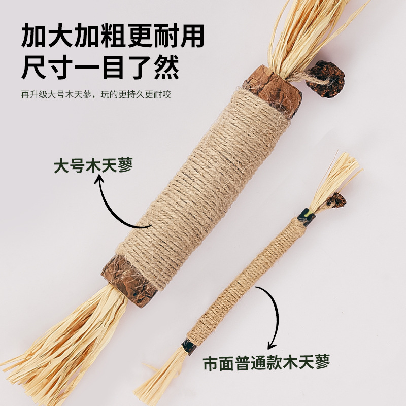 Nuevo gato de juguete Polygonum multiflorum palo con insecto Gall fruta varilla mordedura combinación molar limpieza dental remoción fresco aliento