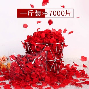 ����õ�廨��Y������b����������˹�������������鷿����Դ�O
