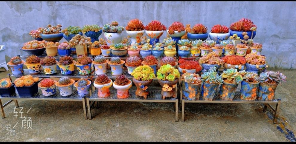 edac22bd-8e16-439c-b04b-c38c6c52c4b5.jpe