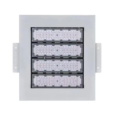 Наружный водонепроницаемый IP65LED встроенный светильник для заправочной станции Американский потолочный накладной модульный светильник высокой мощности 200WIP67