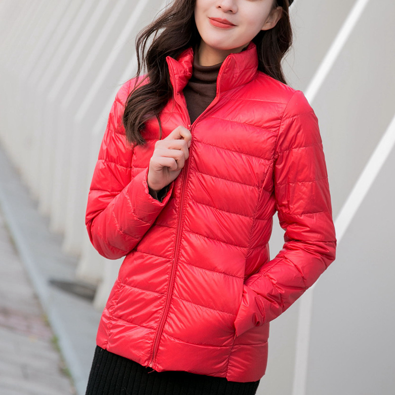 빅 레드 [스탠드 칼라]]
