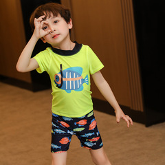 New children's swimsuit wholesale boys split three-piece set ins diving fish baby small and medium-sized boy swimsuit