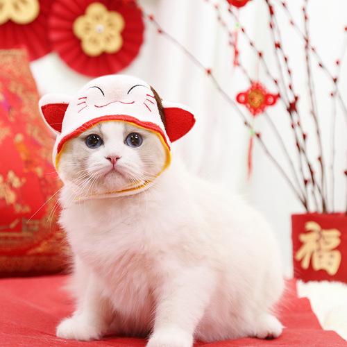 Pet Hat for New Year, Cute Cat, Teddy, Bichon, Dog, Costume Accessory, Headwear, Transformation