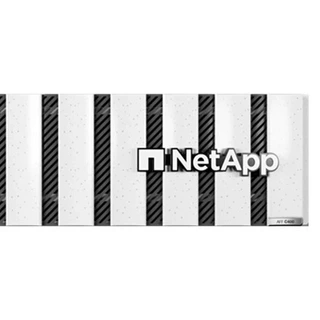 Netapp Aff C400云连接全闪存数据4U 24节点新条件16GB内存8g