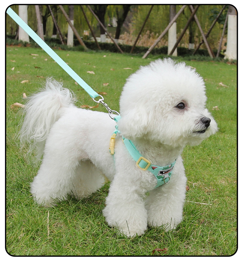 Cute Printed Dog Harness And Leash Set For Small Dog Breeds_voghion.com