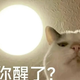 &mdash;���� ������L��ˮ����ƴ��ƴɫ�̿��p�����כ_�h�� #032316