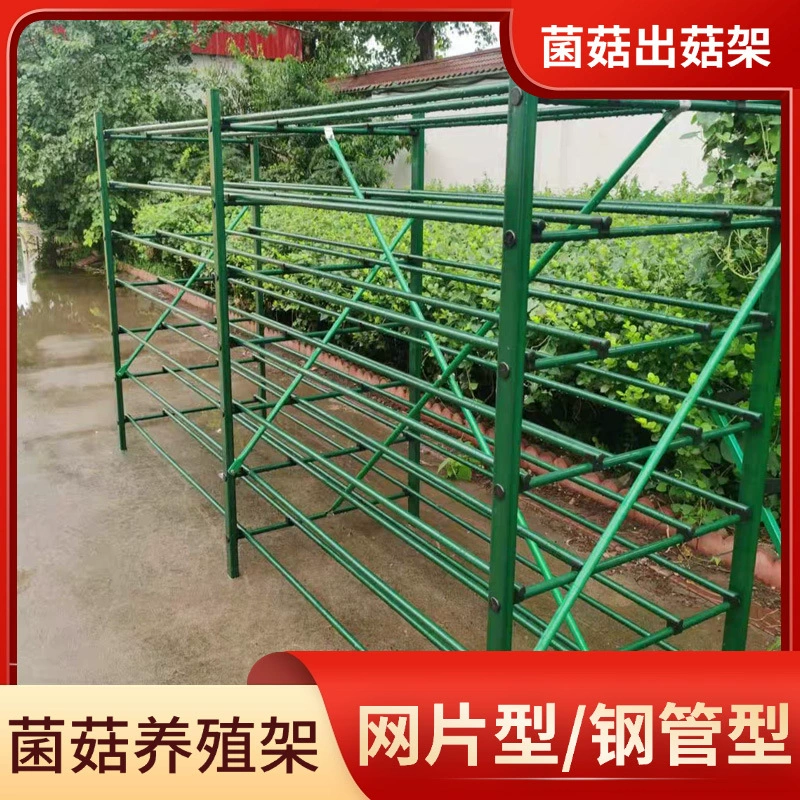 Зеленая антикоррозийная стойка для выращивания грибов, сетка для грибов Pleurotus eryngii.