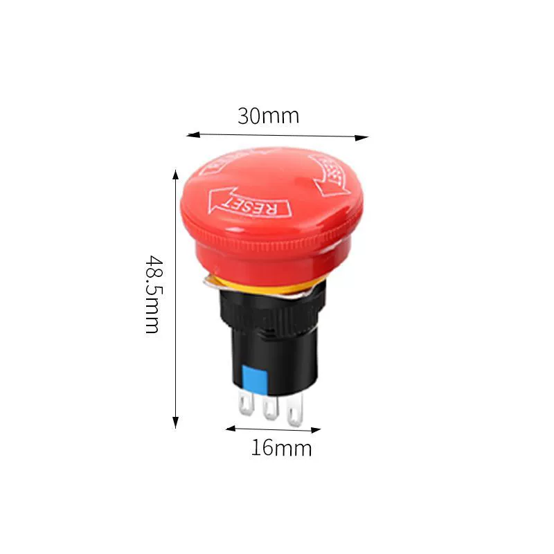 Switch key with clove mushrooms, button, 38, 22mm, switch box