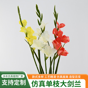 �����֦���m85���׷��滨�b[���ٻ��߼��п͏d��ز廨ˇ