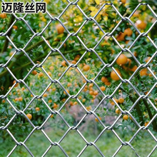 加工定制美格网热镀锌铁丝网防护美格加粗护栏网宠物养殖围栏铁网