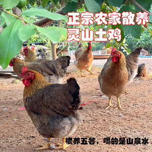 ���r�F�ך����ڏV�|���S�uɢ�B2.2-3.2����ֻ���r�u�F�׬F�l����