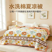 26����С��z�ě�����ܛ�H�w���{���əCϴ�ı�