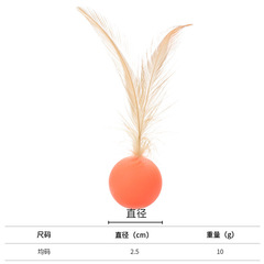 寵物玩具寵物彈力球高回彈貓咪啃咬玩具帶羽毛人寵互動球玩具球