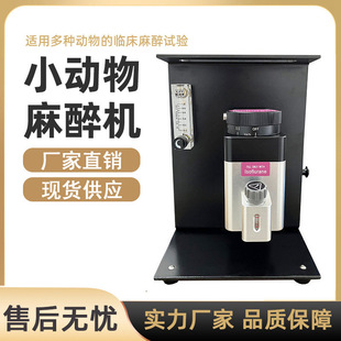 С��������C�����С�����������������w����С��������C