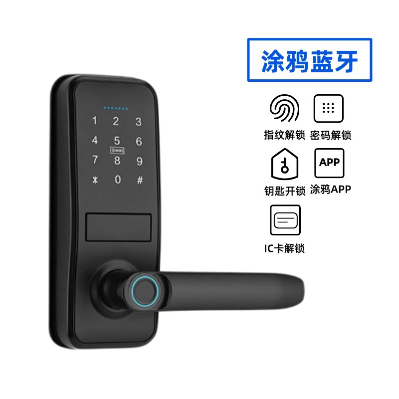 블랙 - 지문 + 비밀번호 + IC 카드 + 모바일 앱 + 키(Tuya Bluetooth)