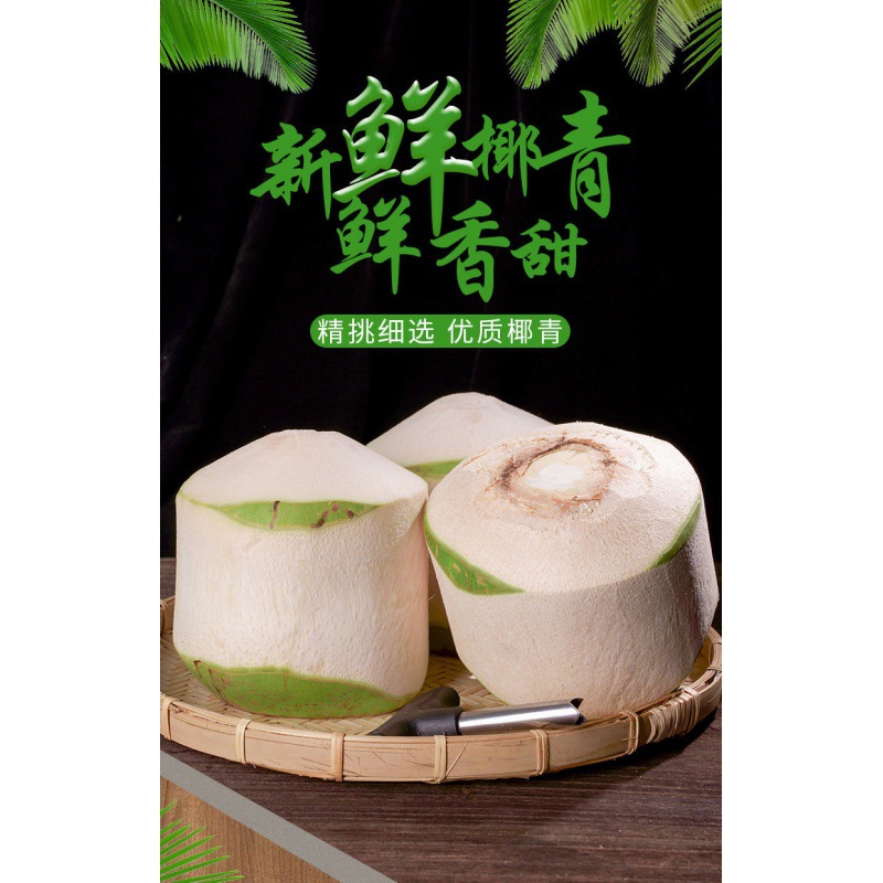 selected Large fruit Hainan Coconut fresh Coconut 2469 Season fruit Full container wholesale