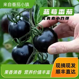 其他蔬菜;瓜果类;叶菜类