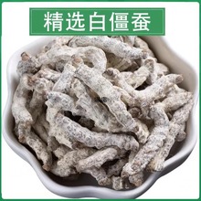 白僵蚕材僵蚕白僵虫天虫姜蚕姜虫500g另有炒僵蚕僵蚕粉1