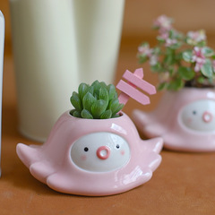 クリエイティブな多肉植物用セラミック製小型植木鉢、かわいい動物型の鉢、サボテンや多肉植物用の鉢、卓上やベランダの装飾、手作り