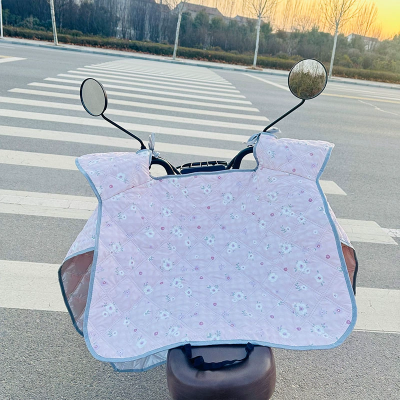 Windproof summer thin waterproof electric car, sun protection