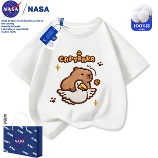 NASA��Ƥ����Ůͯ���޶���T���ļ�2026�¿�´̽�ӡ���д�ͯ����