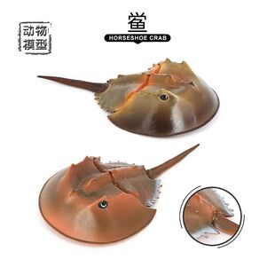 ���溣�����ģ�ͺ��׹������c�R��з�����~��ͯ����J֪�[�����k