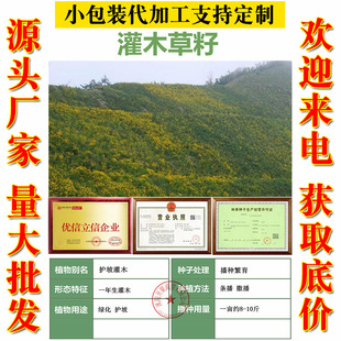 ��ľ�N�����뻱�̻��iʺ���໨ľ�m�y�Ϛg�G���o�¹����ݷN��