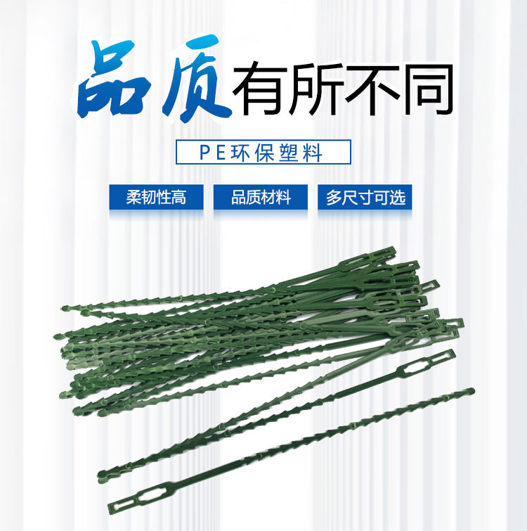 鱼骨刺_01.jpg