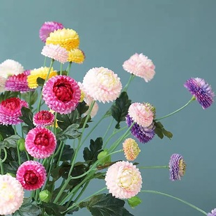 ���چ�֧ƹ�Ҿշ��滨�r������ٻ�С�ջ���c��ˇ�[��