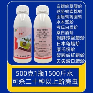 ���Ƙ䚢����򻚤�x�ڴ̷�ʭ��һ���33%���x���ͪ�隤�x���x��